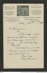 Nachlass Franz Steindachner, Brief von Gerrard Edward & Sons an Franz Steindachner (02.01.1909), Inv.Nr. 156.09, Seite 1